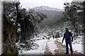 P2060131.JPG