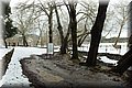 P2090146.JPG