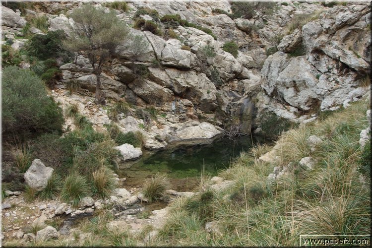 P2120224.JPG