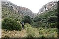 P2120200.JPG