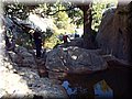 P2190402.JPG
