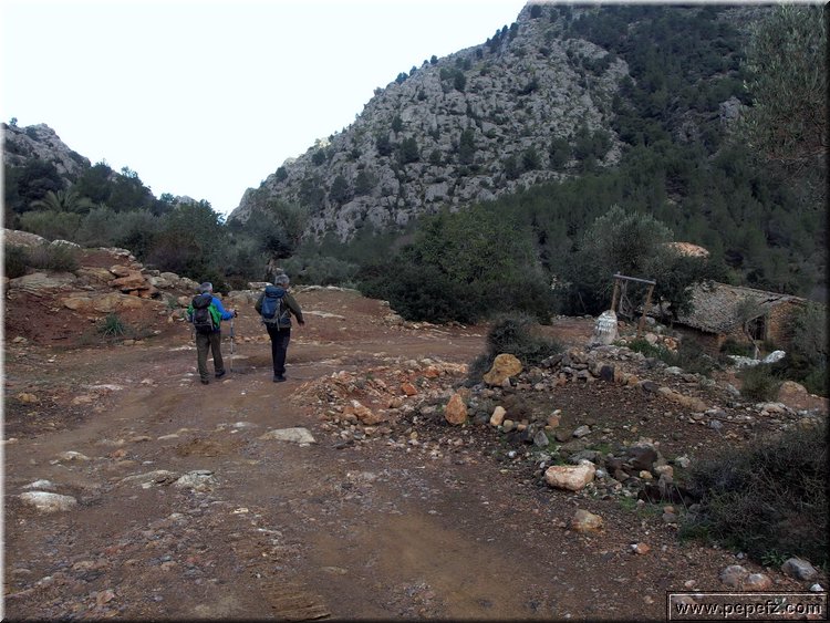 P2230534.JPG