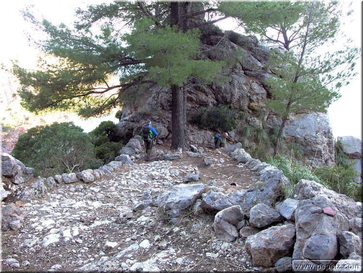 P2230550.JPG