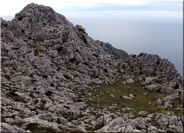 P2230634.JPG