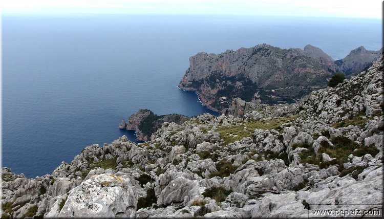 P2230635.JPG