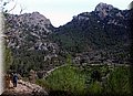 P2230530.JPG