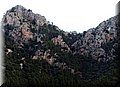 P2230531.JPG