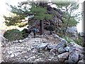 P2230550.JPG