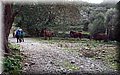P2230658.JPG