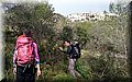 DSC_0234.JPG