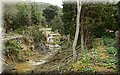 P2260675.JPG