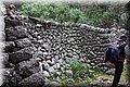P2260699.JPG
