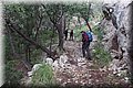 P2260717.JPG