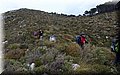 P2260725.JPG