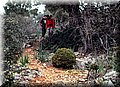 P2260730.JPG