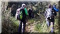 DSC_0263.JPG