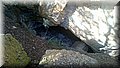 DSC_0265.JPG