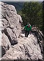 DSC_0291.JPG