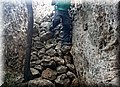 DSC_0308.JPG