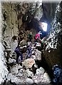 DSC_0316.JPG