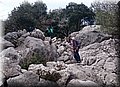 DSC_0327.JPG