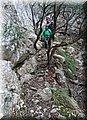 DSC_0337.JPG