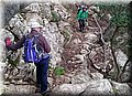 DSC_0342.JPG