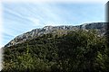 P3091154.JPG