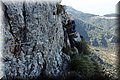 P3121291.JPG