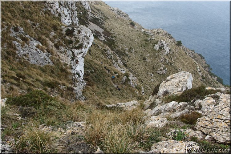 P3191444.JPG