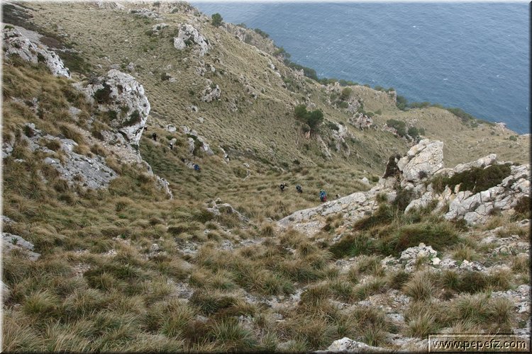 P3191447.JPG