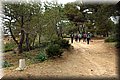 P3191427.JPG