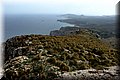 P3191474.JPG