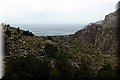 P3191499.JPG