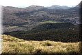 P5040071.JPG