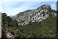 P5070140.JPG