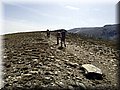 IMG-2015050.jpg