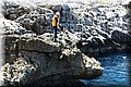 P5280829.JPG
