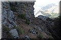P6151377.JPG