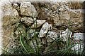 P6181481.JPG