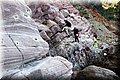P7161693.JPG