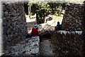 P8062112.JPG