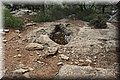P9070372.JPG