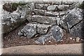 P9100395.JPG