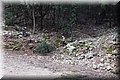 P9100402.JPG
