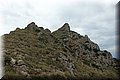 P9100408.JPG