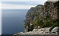P9100434.JPG