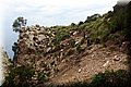 P9100435.JPG