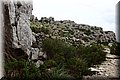 P9100440.JPG
