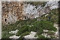 P9100443.JPG